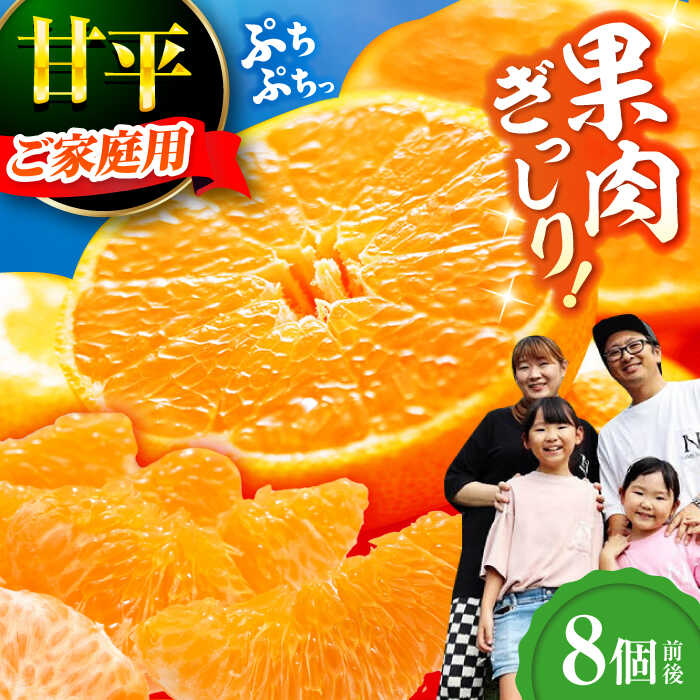 【ふるさと納税】【2026年2月中旬から順次発送】【ご家庭用】甘平 10個前後 みかん ミカン えひめ かんぺい 柑橘 大洲市/西村農園[AGDC004] みかん 蜜柑 甘平 果物 くだもの フルーツ 新鮮 愛媛県産 大洲市産 産地直送 おすすめ 人気 お取り寄せ 送料無料 ワケあり 訳あり