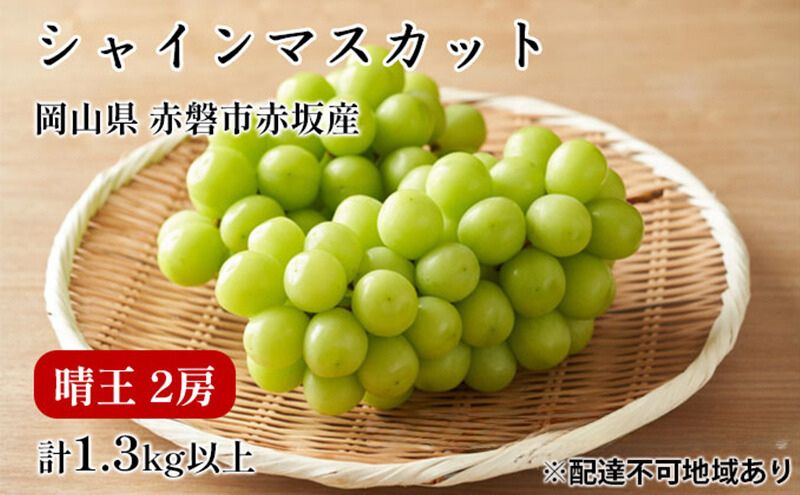 ぶどう 2025年 先行予約 シャイン マスカット 晴王 2房 合計1.3kg以上 2025年9月上旬～9月下旬発送分 ブドウ 葡萄 岡山県 赤磐市産 国産 フルーツ 果物 ギフト 赤坂青空市