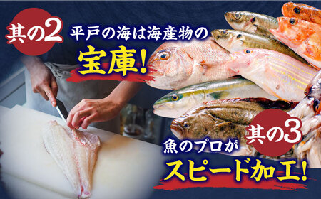 【全3回定期便】 獲れたて 旬魚 の柵 3種 セット（ 刺身 2種＆ イカ 1種）（4～5人前）【平戸市/舘浦漁業協同組合】[KAA518]