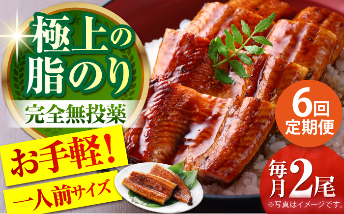 
            【6回定期便】高知県産 うなぎ蒲焼き 約90g×2尾 タレ付き 【株式会社 四国健商】 [ATAF147] うなぎ ウナギ 鰻 炭火焼 手焼き ひつまぶし 土用の丑の日
          