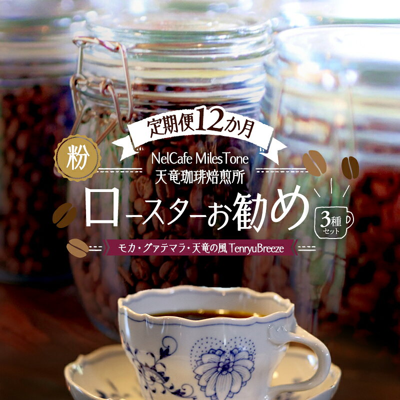 【ふるさと納税】コーヒー ロースターお勧め3種セット 定期便12か月 モカ グァテマラ 天竜の風 TenryuBreeze ペーパードリップ用粉 コーヒー粉 珈琲粉 自家焙煎 イルガチェフェ ナチュラル エチオピア サンファンテキシク インディ 静岡県浜松市