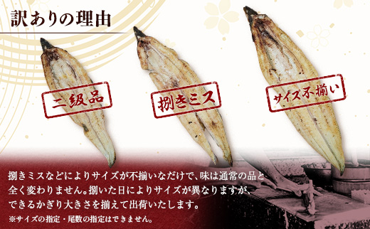 ［訳あり・不揃い］うなぎ白焼き 合計1kg（4～10尾入り）玄人の一品 バラツキ 数量限定 宮崎県産 冷凍 蒲焼タレ付【E224】