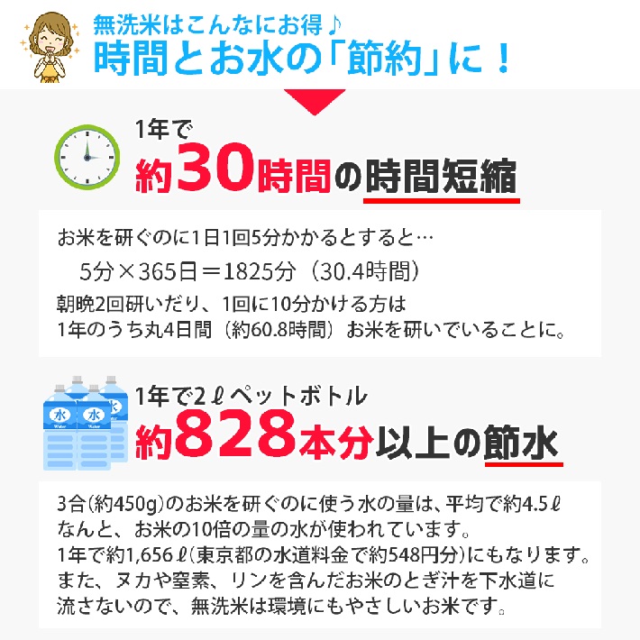 無洗米 庄内産はえぬき5kg×1袋（令和6年産米）