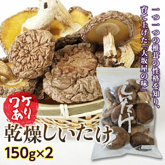 【ふるさと納税】【訳あり】乾燥しいたけ 椎茸 シイタケ 濃厚 香り 旨みたっぷり だし うまみ F21K-173