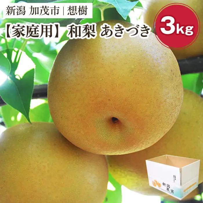 【2026年先行予約】【家庭用】新潟県産和梨 あきづき 約3㎏（4～9玉）《9月中旬～順次出荷》 梨 あきづき