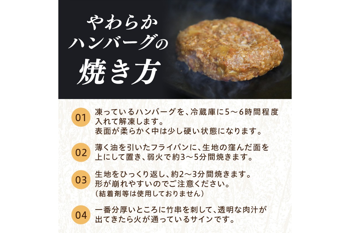 塩で食べるやわらかハンバーグ（デミグラスソース付）　国産 牛肉 はんばーぐ　NH00042