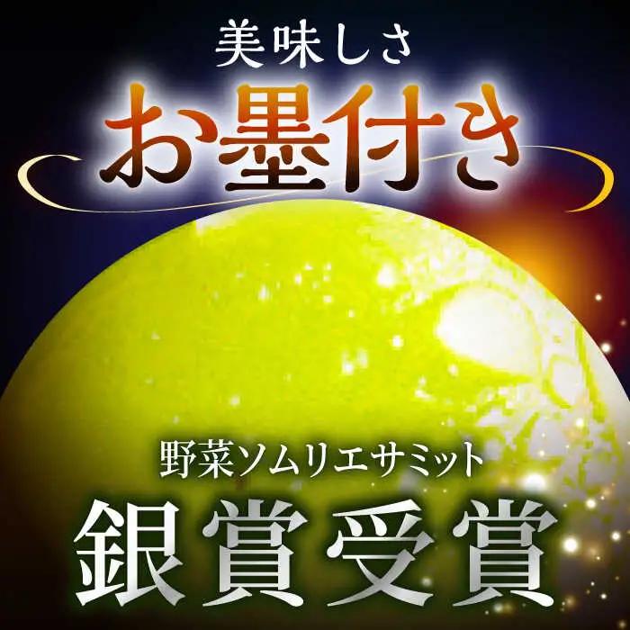 マスカット 【2026年先行予約】【25個限定】シャインマスカット ジュエリーBOX 16粒(約300g) [AIAB009] マスカット