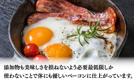 【3か月定期便】 スライス ブロック ベーコン セット 国産 ブロック 