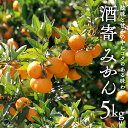 【ふるさと納税】酒寄 みかん 5kg 《 数量限定 》 2024年11月中旬発送開始 温州みかん ミカン 蜜柑 柑橘 果物 旬 期間限定 フルーツ 果物 茨城県