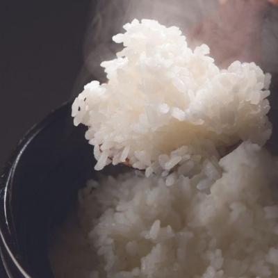 ふるさと納税 三条市 [定期便3kg×6か月] コシヒカリ  令和7年産米 新潟県三条市【026S006】 |  | 01