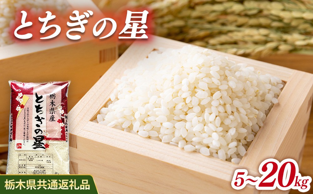 
                  【選べる内容量】米 とちぎの星 5kg/10kg/20kg 栃木県産【栃木県共通返礼品】
                