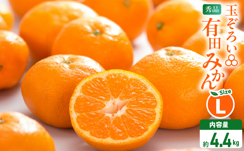 MK1042_2月28日終了！ 最短出荷すぐ届く！みかん Ｌサイズ 秀品 箱込 5kg ( 内容量 4.4kg ) 有田みかん 和歌山県産 産地直送 贈答用 【みかんの会】