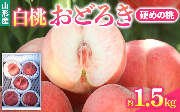 
                  山形県産白桃おどろき 約1.5kg[硬めの桃]【令和8年産先行予約】FS25-148
                