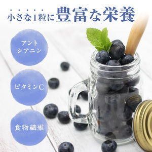 【2026年7月より順次発送】栽培期間中農薬不使用！急速冷凍ブルーベリー 1.2kg 【JAほたるの里】_HA1517 | ベリー フルーツ
