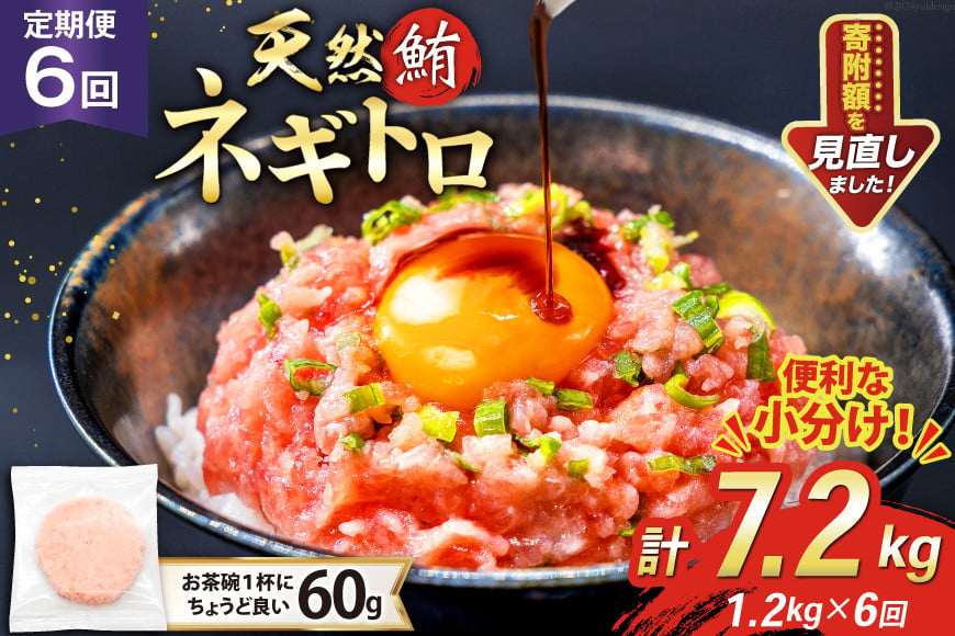 
            6回 定期便 天然 マグロ ネギトロ まぐろたたき 冷凍 60g 20個 計1.2kg [トライ産業 静岡県 吉田町 22424396] 小分け 個包装 まぐろのたたき 鮪 まぐろ ネギトロ丼 ねぎとろ マグロたたき
          