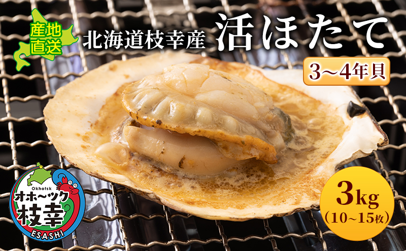 
                  北海道枝幸産 活ホタテ 3kg 【枝幸ほたて】 あければオホーツク 【 冷凍 貝柱 魚介 海 オホーツク 帆立 BBQ 北海道 オホーツク 枝幸 】
                
