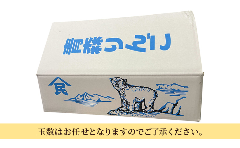 りんご【10月発送】訳あり 早生ふじ 約5kg 青森県 りんご リンゴ 林檎 フルーツ くだもの 果物 青森県 りんご デザート 旬の果物