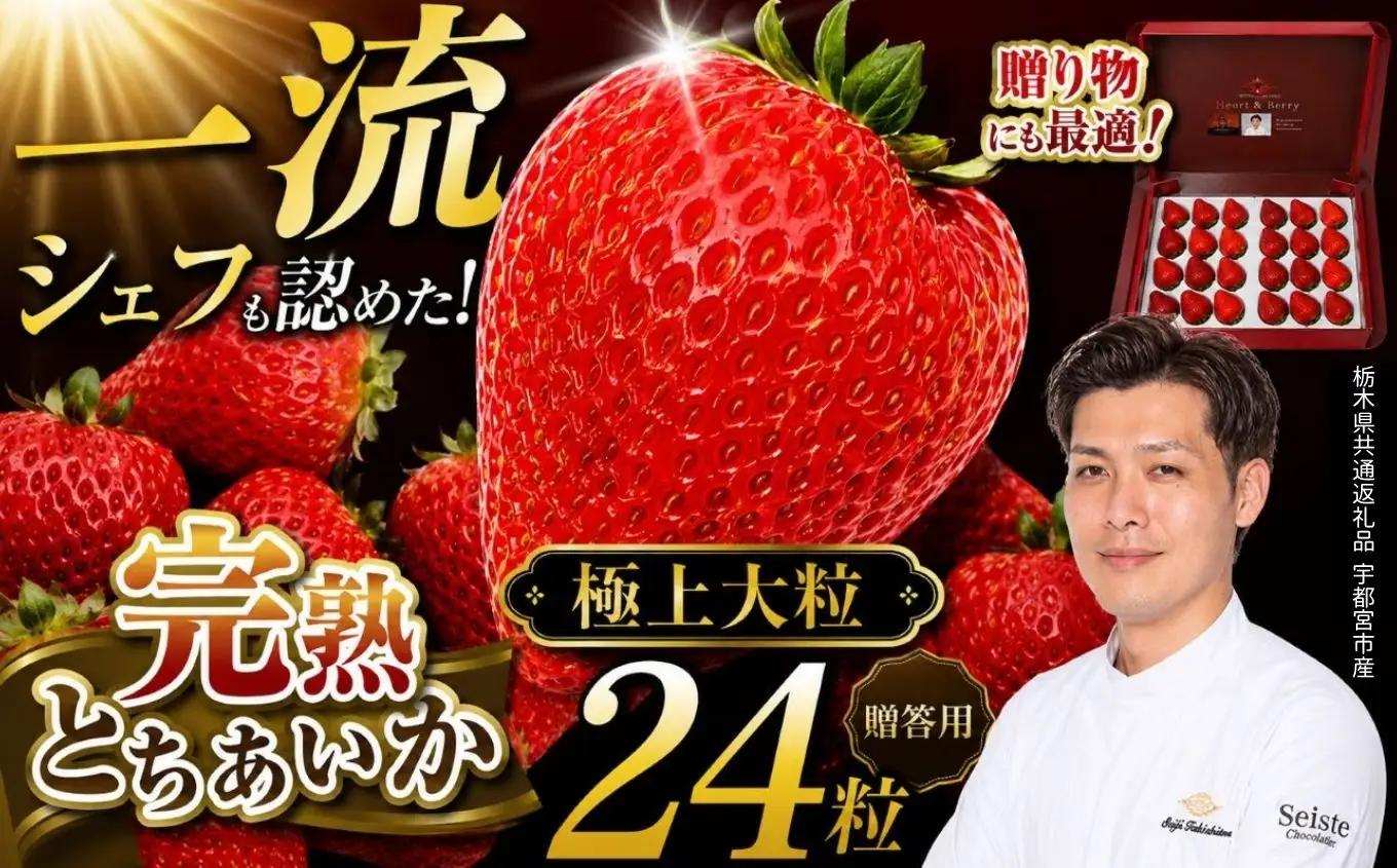 栃木県産 完熟とちあいか ギフトボックス 《大粒極上》 贈答用 ボックス（24粒）　栃木県 下野市 送料無料
