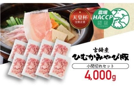 香川畜産の豚肉小間切れセット　4,000g 【 肉 豚肉 国産豚肉 九州産豚肉 宮崎県産豚肉 豚こま セット 普段使い 】