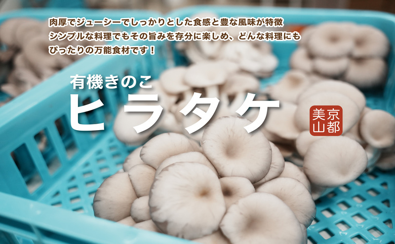 京都府産オーガニック　ヒラタケ（6パック入り約840g）