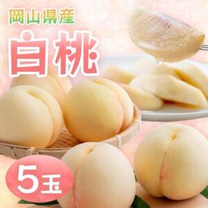 岡山県産白桃　5玉・約1.3kg(クール便)【配送不可地域：離島】【1614347】