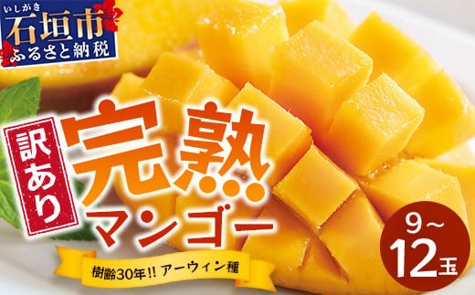 ＜期間限定 春フェア＞ 【訳あり】石垣島産 マンゴー (アーウィン種)  9～12玉(箱含め約5kg) 《樹齢30年の木で育ったマンゴー》｜産地直送 沖縄 石垣島 マンゴー  アーウィン マンゴー フルーツ TP-3