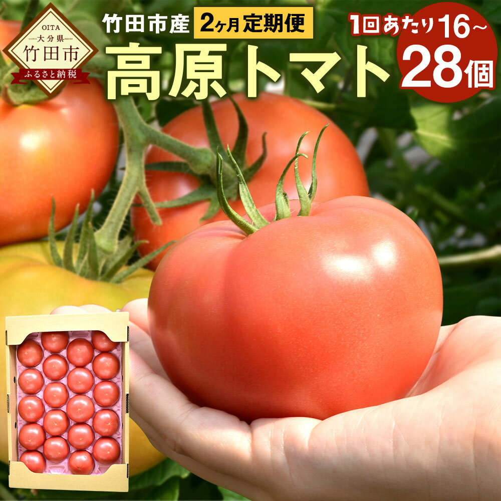 【ふるさと納税】【2ヶ月定期便】竹田市産 高原トマト 4kg 16～28個 トマト とまと 野菜 大分県産 国産 九州 大分県 竹田市 送料無料【2026年5月下旬～2027年1月上旬発送予定】