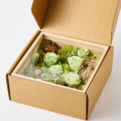 ふるさと納税 日出町 プリザーブドフラワー緑 |  | 03