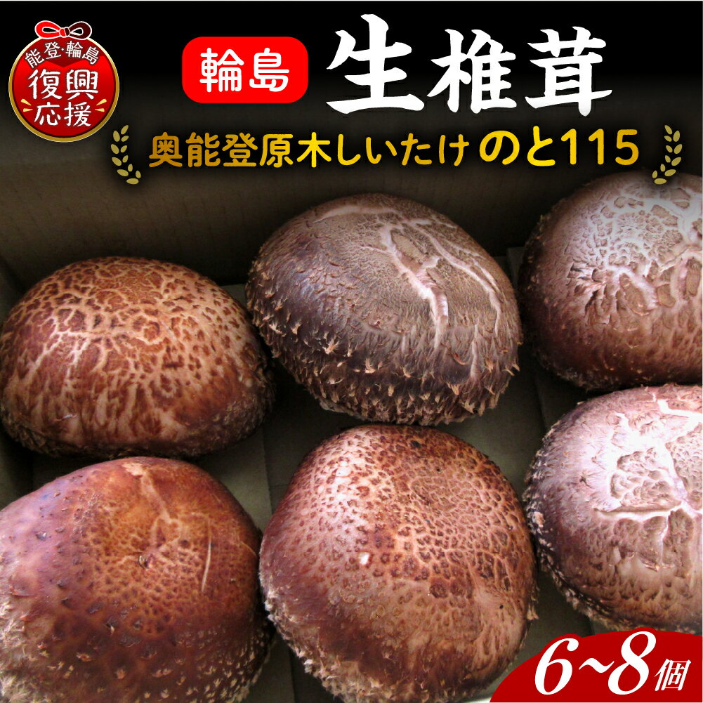 【ふるさと納税】原木生しいたけ（のと115） | 国産 原木 しいたけ 椎茸 シイタケ のと115 野菜 ブランド きのこ キノコ 能登 石川県 輪島市