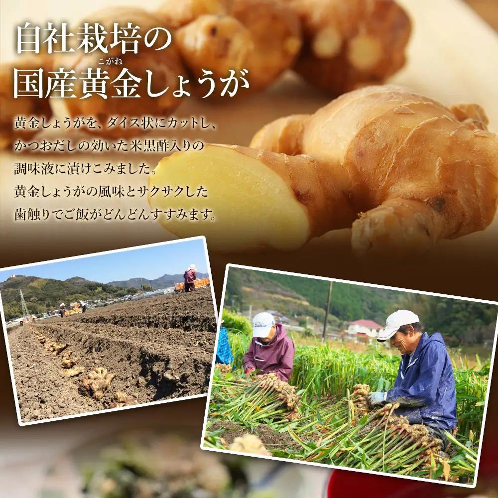 味付け 極しょうが 110g×10袋 計1100g しょうが Xnb-0014