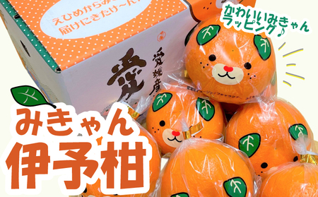 【2027年2月上旬頃から順次発送】 みきゃんいよかん 2kg｜ いよかん 伊予柑 イヨカン みきゃん 柑橘 取り寄せ 甘いみかん ギフト 愛媛県産 ミカン みかん mikan 蜜柑 フルーツ 果物 くだもの お取り寄せ 産地直送 数量限定 人気 おすすめ 送料無料 贈答 ギフト 愛媛県 松山市【SSK020】
