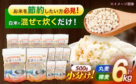 【最速発送】むぎくい亭 (丸麦500g×6・裸麦500g×6) 計6kg / 麦 丸麦 はだか麦 裸麦 麦味噌 雑穀 雑穀米 食物繊維 長崎県産 米 こめ コメ ※ / 諫早市 / 有限会社伊東精麦  [AHBU002]   最速 最短 スピード 発送