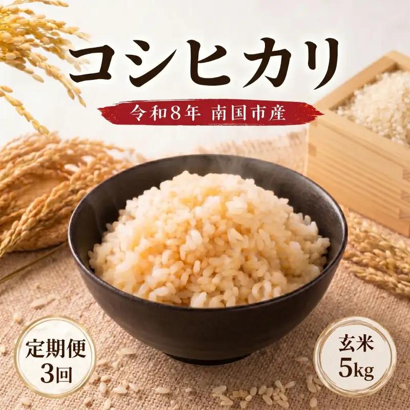 【先行予約】玄米 5㎏ コシヒカリ 令和8年度 玄米 3回定期便