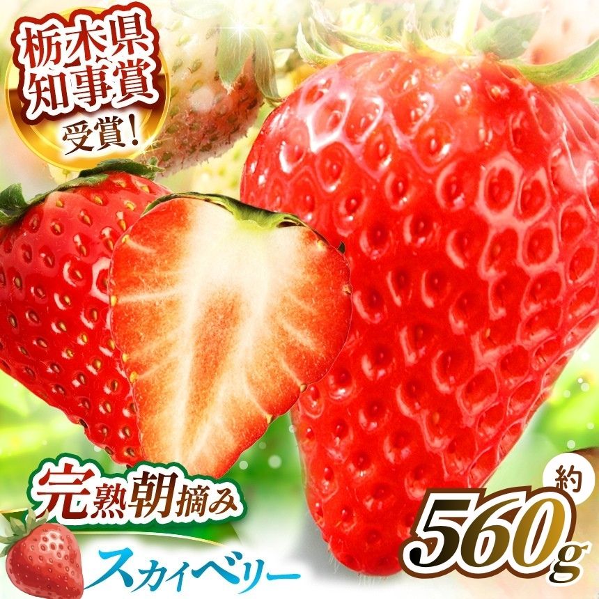 【ふるさと納税】いちご 苺 スカイベリー 560g【2027年先行予約】大粒で美しい 贅沢苺 栃木の逸品 スカイベリー 2P | いちご イチゴ 苺 フルーツ お取り寄せ プレゼント 贈答 人気 高評価 おいしい 大粒 高級 果物 産地直送 栃木県産 栃木県 矢板市 澳原いちご農園