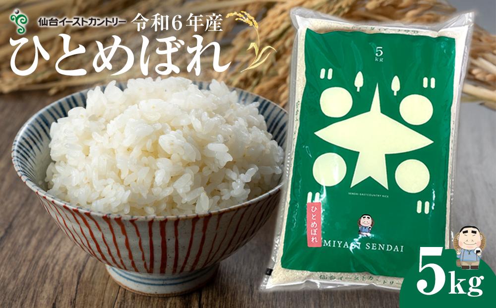 精米　令和６年産ひとめぼれ　５キロ【米 お米 こめ コメ ご飯 ごはん 仙台】