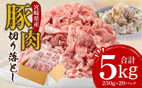 宮崎県産 豚肉 切り落とし 250g×20 合計5kg |豚肉 豚 ぶた 肉 国産 切り落とし 真空パック