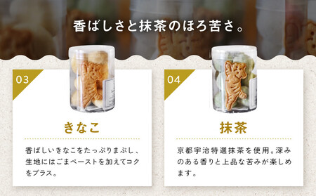 【SUGiTORA】ブールドネージュ ギフトボックス｜京都 寺町 スイーツブランド 人気店 ｽｲｰﾂ