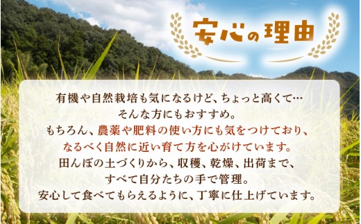 【先行予約】【令和8年産】にじのきらめき 玄米 5kg ＜温度と湿度を常時管理し新鮮米を出荷！＞ 米 高品質 鮮度抜群 ブランド米 福井県 あわら市産 スマート農業 ※2026年9月下旬より順次発送予