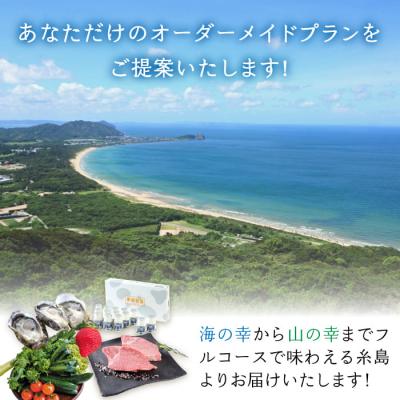 ふるさと納税 糸島市 【糸島コンシェルジュ】返礼品おまかせ!寄附額100万円コース[AZZ002]あとからギフト |  | 01