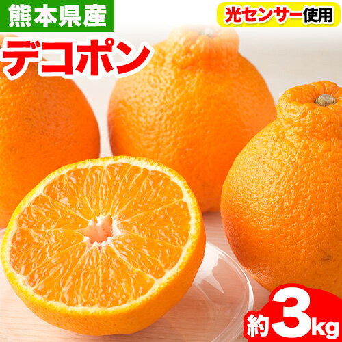 【ふるさと納税】 デコポン 約3kg フレッシュフーズ 《3月上旬-4月中旬頃出荷》熊本県産 (荒尾市産含む) 柑橘 フルーツ フレッシュフーズ みかん 不知火と同品種 果物 不知火 デコポン みかん オレンジ 3kg