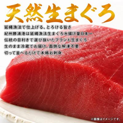 ふるさと納税 由良町 【毎月定期便】紀州和歌山うまいもんセットA(生まぐろ・うなぎ蒲焼・熊野牛)全3回 |  | 01