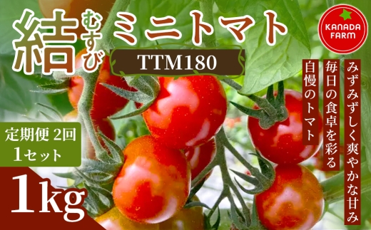 《先行予約》【定期便2ヶ月】結（むすび）ミニトマト（TTM180）1kg 1セット 新鮮野菜 フルーツ 旬 サラダ デザート お弁当 朝食 料理用 そのまま食べる おうちごはん お取り寄せ 産地直送 贈り物 手土産 愛知県 豊橋市