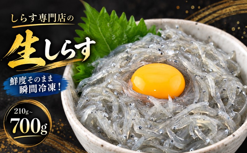 
                  土佐のお刺身 「 生しらす 」 選べる 3 ~ 10 パック しらす どろめ 白子 銀魚 お刺身 海鮮 魚介 dorome 魚貝 鮮魚 新鮮 産地直送 おさしみ sirasu 国産 容量 刺身 さしみ 刺し身 小分け 個包装 天然 70g しらす丼 冷凍生白子 ごはん の お供 高鮮度 海の幸 人気 おすすめ 米にあう 丼 ちりめん 冷凍便 5000 10000 5千円 1万円 高知県 安芸市
                