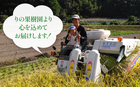 先行予約＜令和8年産 米 にじのきらめき 精米 約5kg＞ 選べる 2026年産 単一原料米 単一米 5キロ ニジノキラメキ お米 コメ こめ 白米 ご飯 ライス りの果樹園 愛媛県 西予市【常温】『