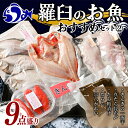 【ふるさと納税】羅臼の魚 おすすめセット(2) きんき めんめ 干物 一夜干し 真鱈昆布 たらこ たら粕漬 宗八カレイ 魚 詰合せ セット 羅臼町 北海道 生産者 支援 応援