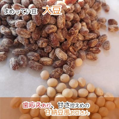 ふるさと納税 小川村 まめってい豆とりんごちゃんの詰め合わせ*252 |  | 03