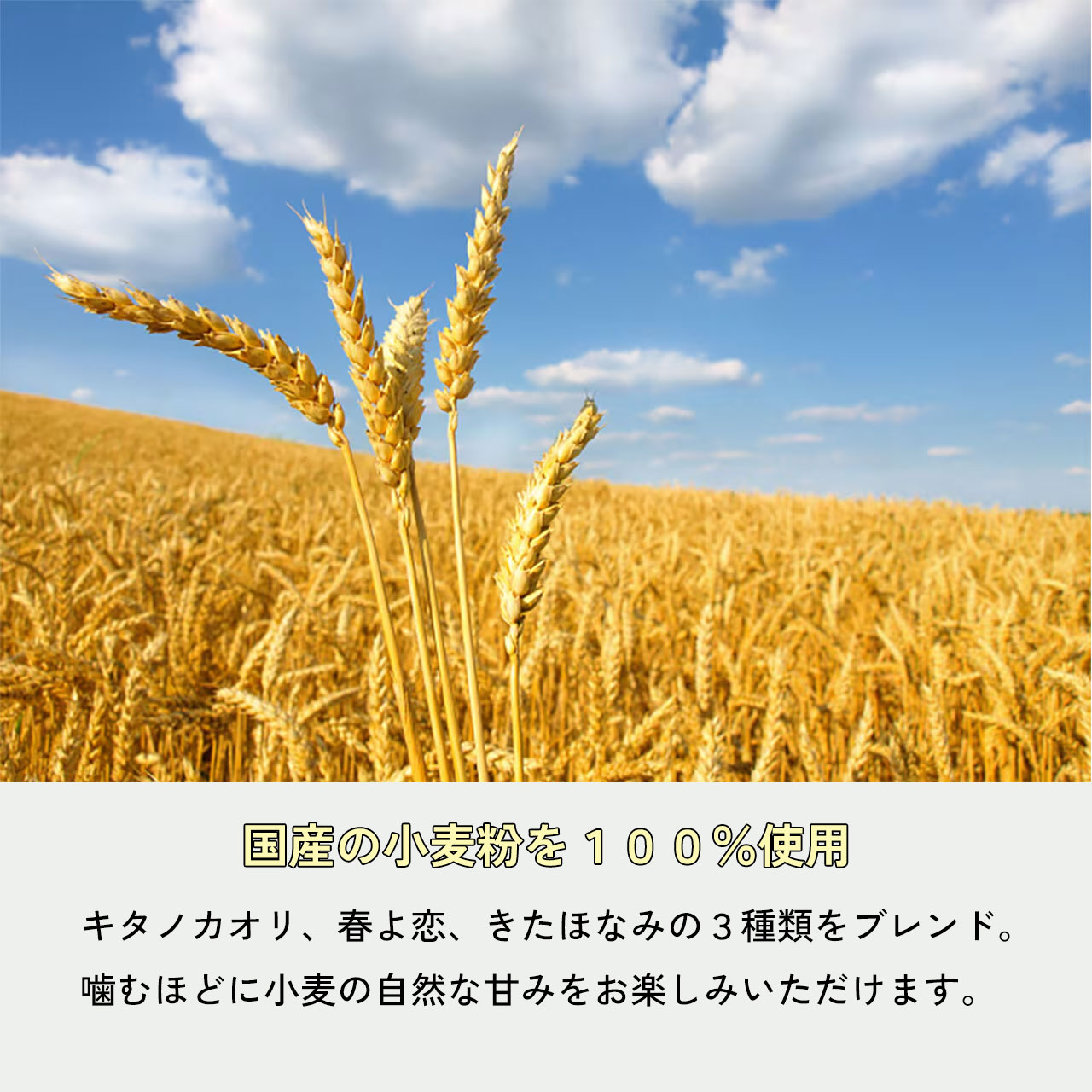 おまかせベーグル10個セット 詰め合わせ もちもち 国産小麦 こだわり食材 パン 冷凍 朝食 ベーグル 行列 人気店 MORE BAGEL 佐賀市:B150-054_イメージ2