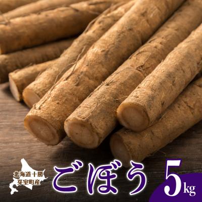 ふるさと納税 芽室町 【先行受付】【2026年10月より配送予定】北海道十勝芽室町 愛菜屋のめむろごぼう5kg
