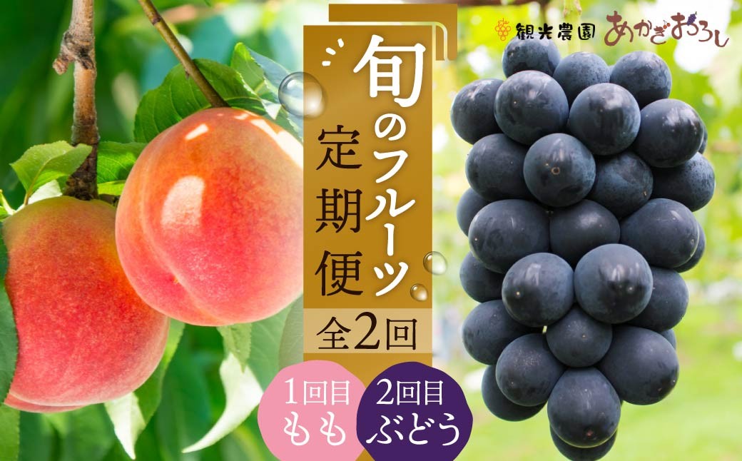 
                  フルーツ 食べ比べ 4kg 桃 ぶどう 定期便 先行予約 数量限定 | 期間限定 桃 フルーツ 果物 産地直送 限定品 贈り物 新鮮 お取り寄せ デザート ギフト 風味豊か 香り 甘い 限定 果樹 フルーツ 旬 ジューシー みずみずしい 季節のフルーツ あかぎおろし 前橋市 群馬県
                