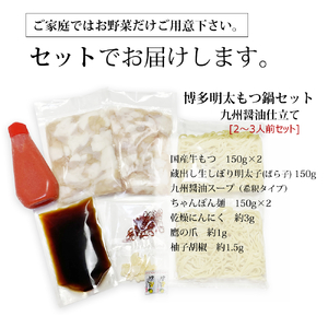 博多明太醤油もつ鍋セット(2～3人前) 4A18